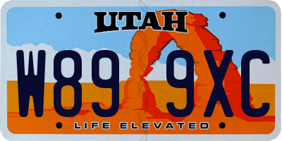 UT license plate W899XC