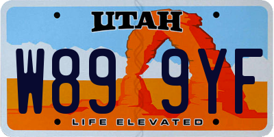 UT license plate W899YF