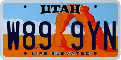 UT license plate W899YN