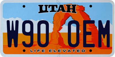 UT license plate W900EM