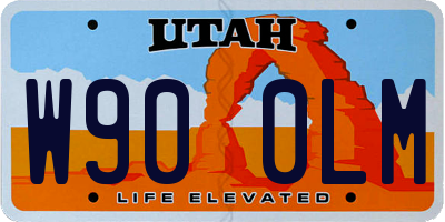 UT license plate W900LM