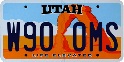 UT license plate W900MS