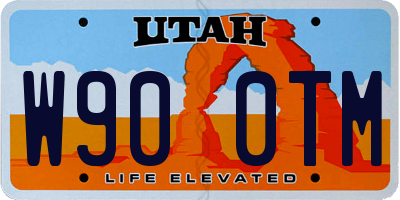 UT license plate W900TM