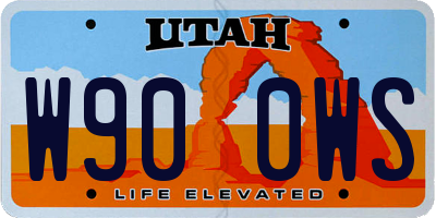 UT license plate W900WS