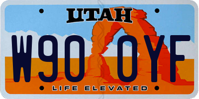 UT license plate W900YF