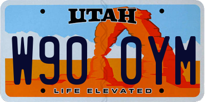 UT license plate W900YM