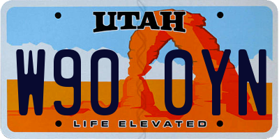 UT license plate W900YN