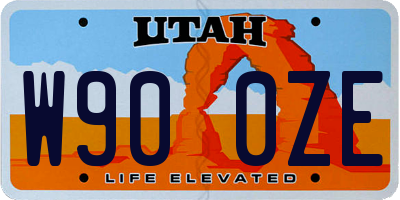 UT license plate W900ZE
