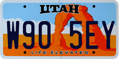 UT license plate W905EY