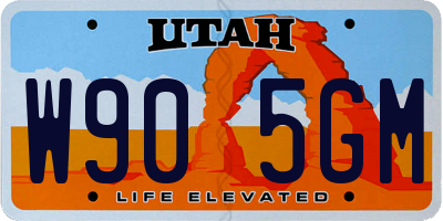 UT license plate W905GM