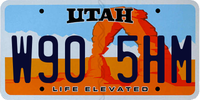 UT license plate W905HM