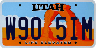 UT license plate W905IM