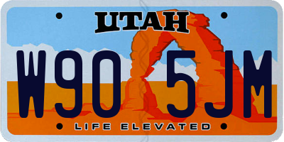 UT license plate W905JM