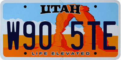 UT license plate W905TE