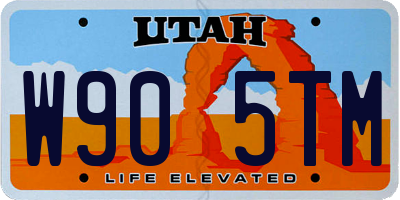 UT license plate W905TM