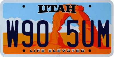 UT license plate W905UM