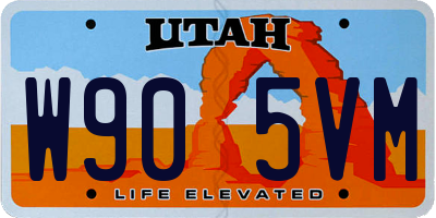 UT license plate W905VM