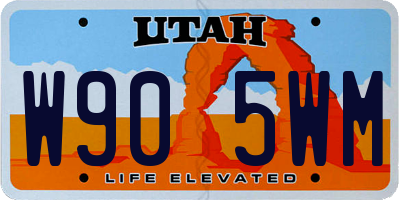 UT license plate W905WM