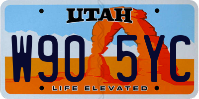 UT license plate W905YC