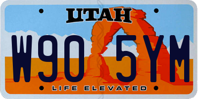 UT license plate W905YM