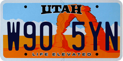 UT license plate W905YN