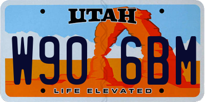 UT license plate W906BM