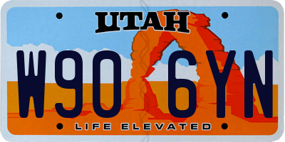 UT license plate W906YN