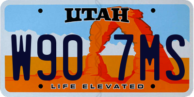 UT license plate W907MS