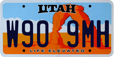 UT license plate W909MH