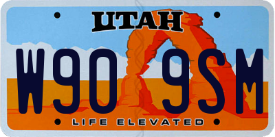 UT license plate W909SM