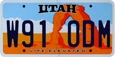 UT license plate W910DM
