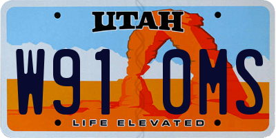 UT license plate W910MS