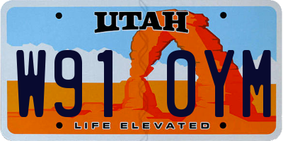 UT license plate W910YM