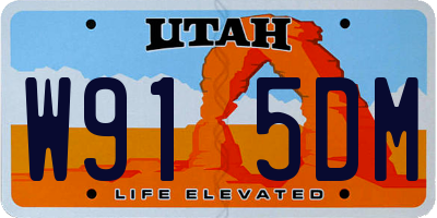 UT license plate W915DM