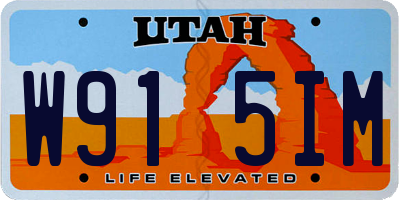 UT license plate W915IM
