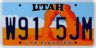 UT license plate W915JM