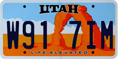 UT license plate W917IM