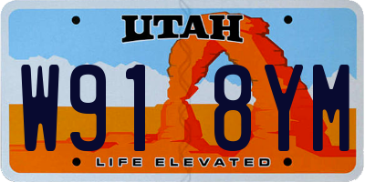 UT license plate W918YM