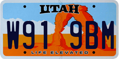 UT license plate W919BM