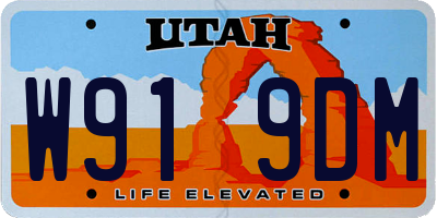 UT license plate W919DM