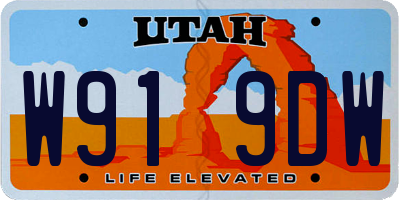 UT license plate W919DW