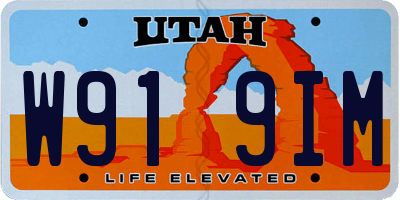 UT license plate W919IM