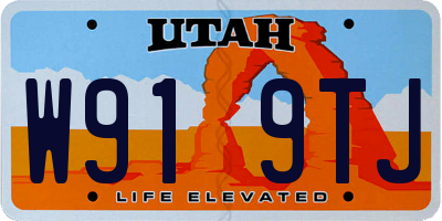 UT license plate W919TJ