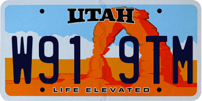 UT license plate W919TM