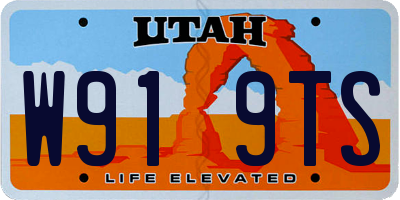 UT license plate W919TS