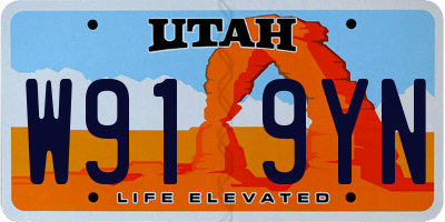 UT license plate W919YN