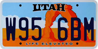 UT license plate W956BM