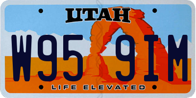 UT license plate W959IM