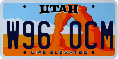 UT license plate W960CM