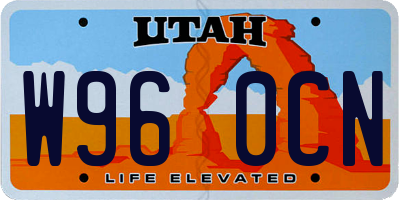UT license plate W960CN